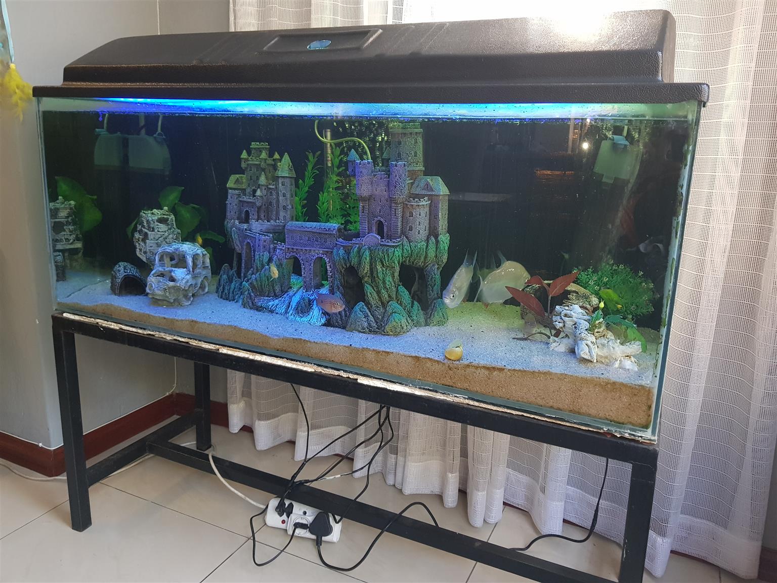 fish tank for sale near me