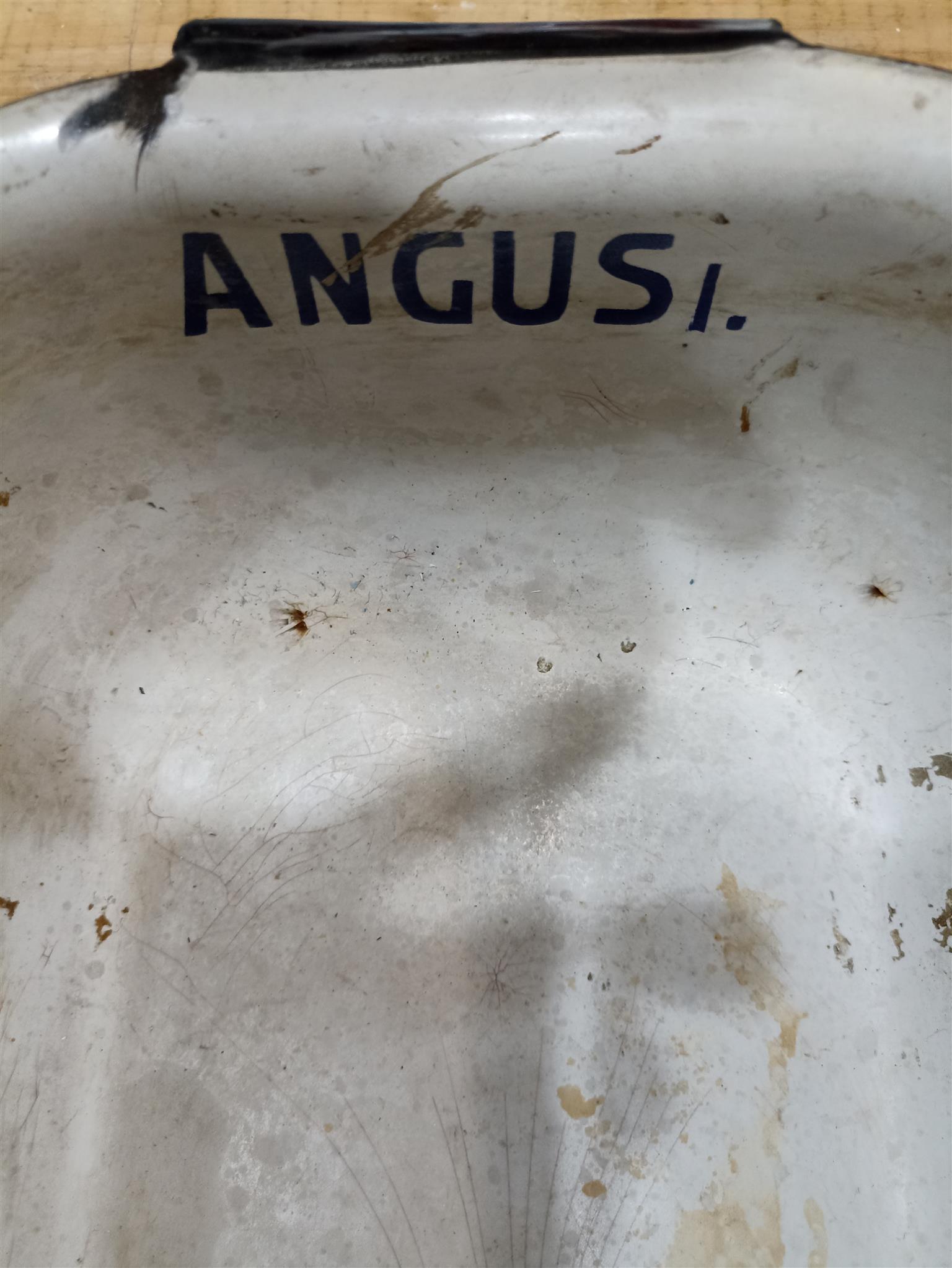 Laboratory Dish/Bath