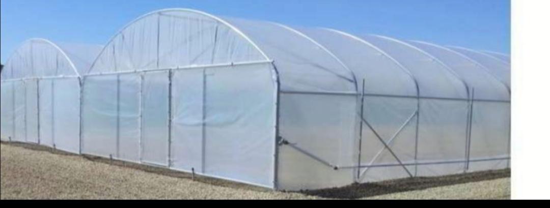 KOPIPHOGOLE GREENHOUSE AND TUNNELS FOR SALE