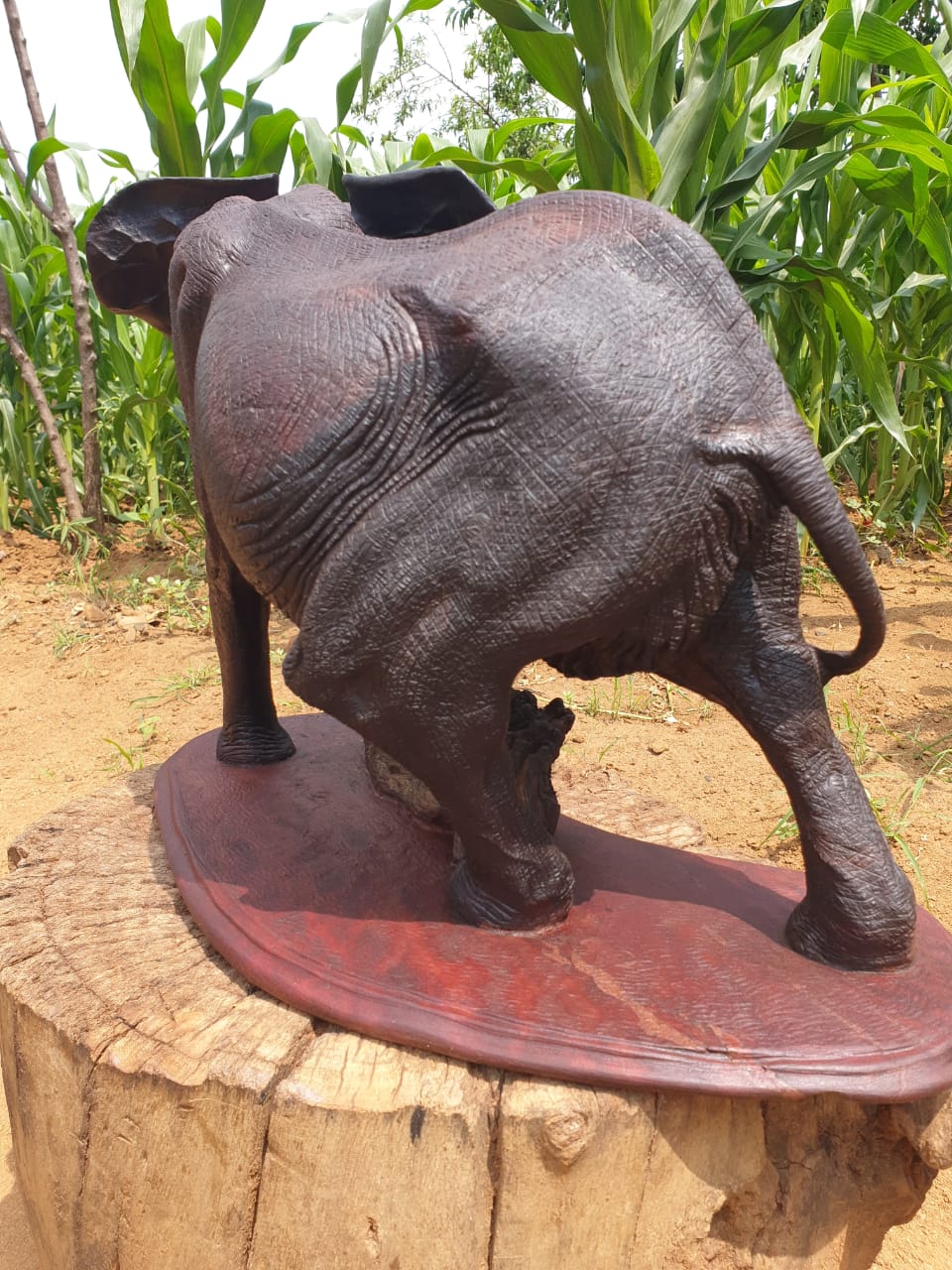 Fine art,wildlife carvings,on Ironwood