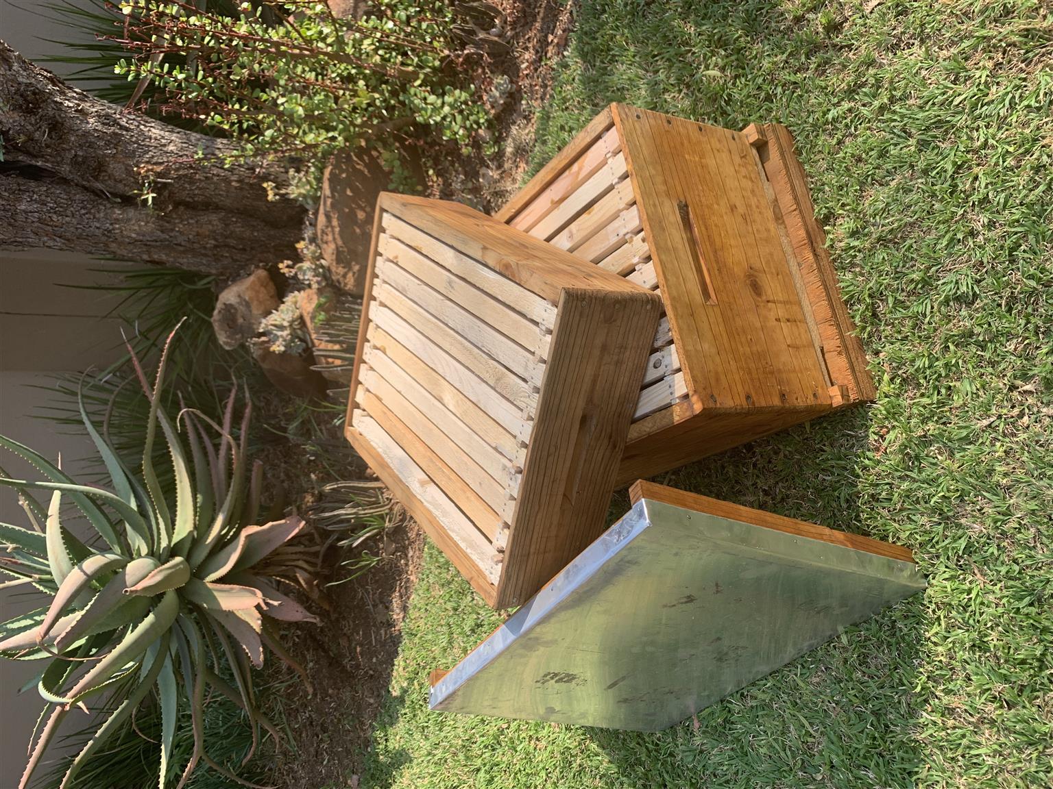 10 frame Langstroth beehive