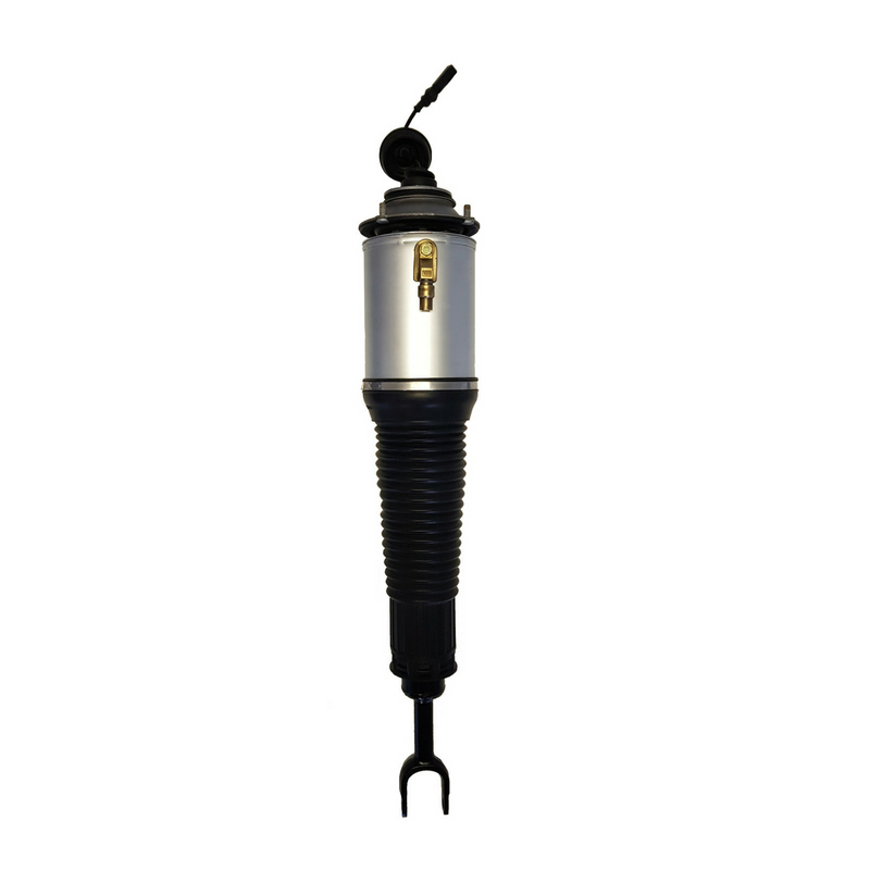 Audi S8 Airmatic Shocks