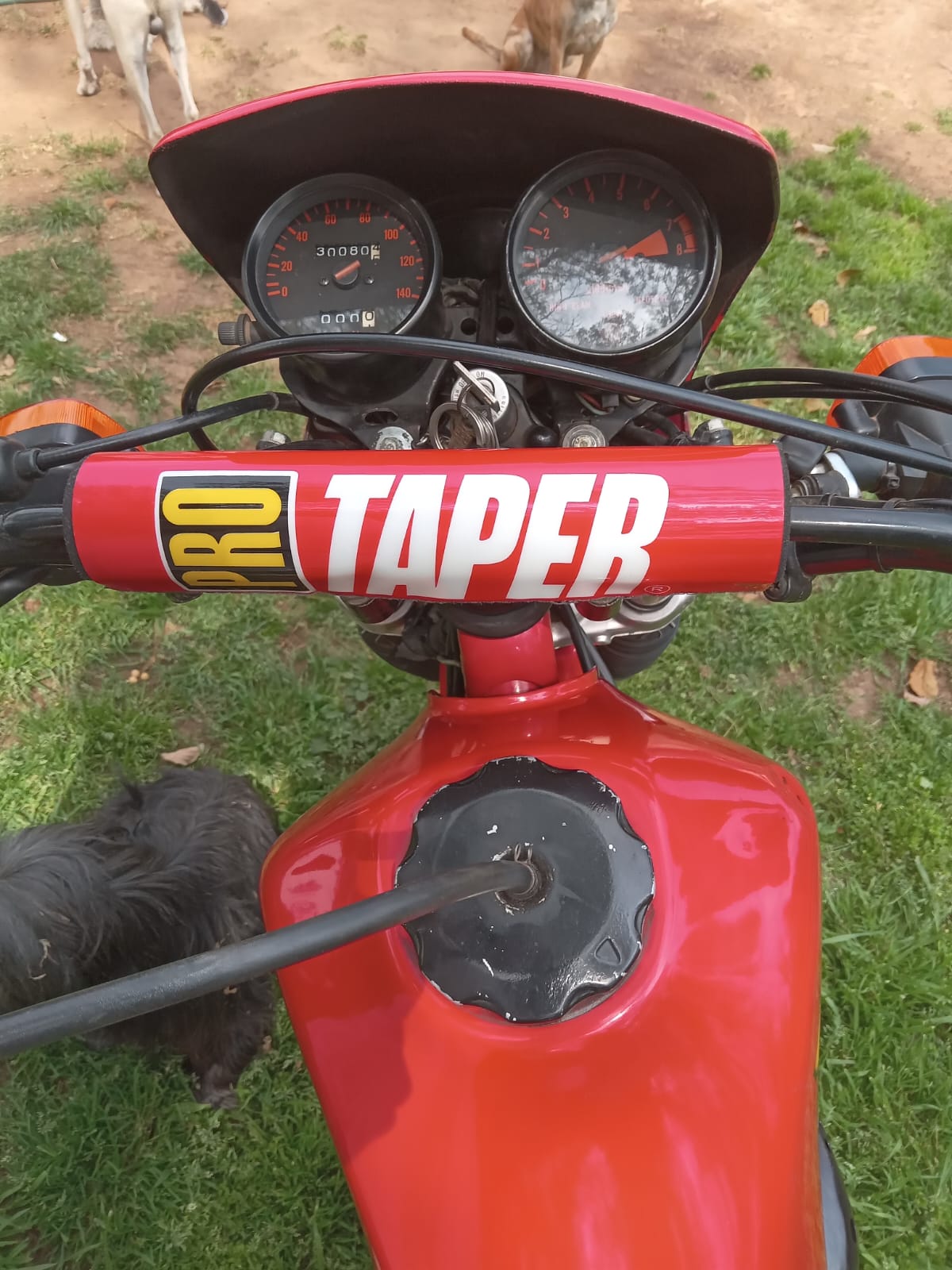 Honda XL 500 - Private Seller Honda XL 500 - Private Seller