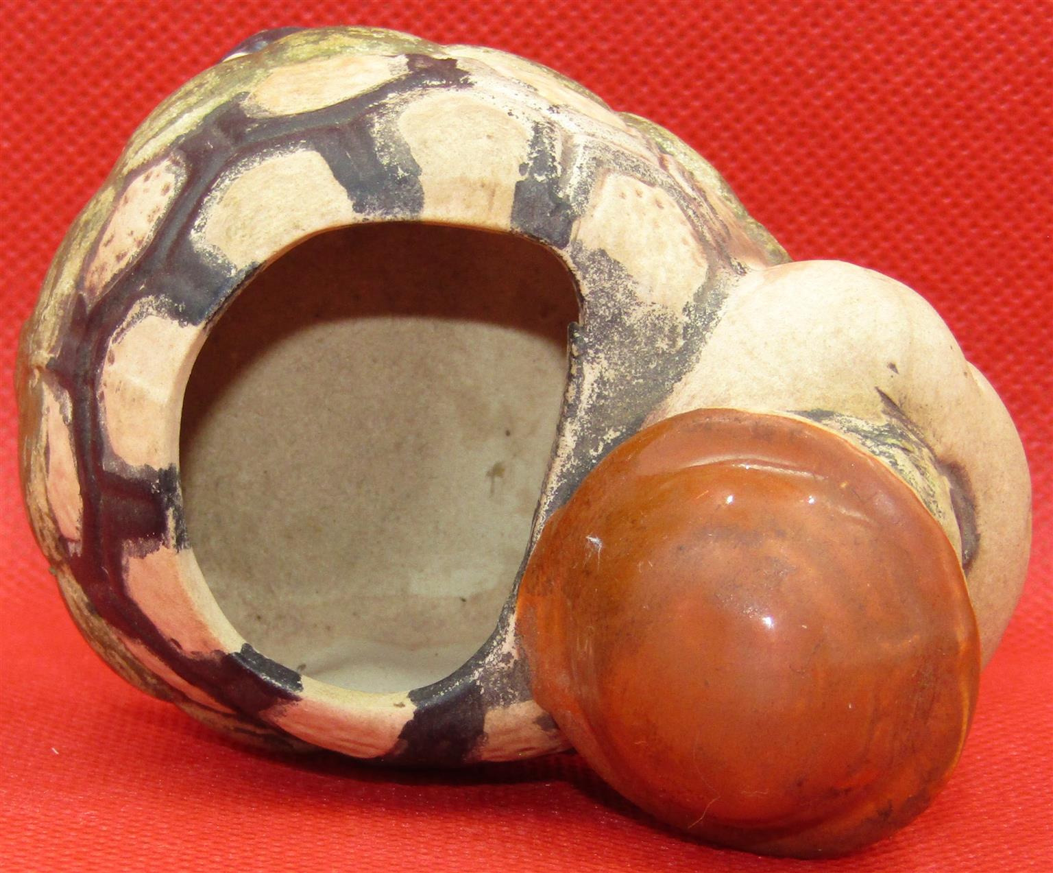 Vintage Ceramic Tortoise with Planter