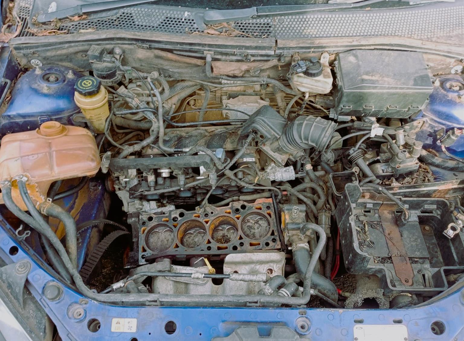 2004 Ford Focus 2.0L ST - Stripping for Spares