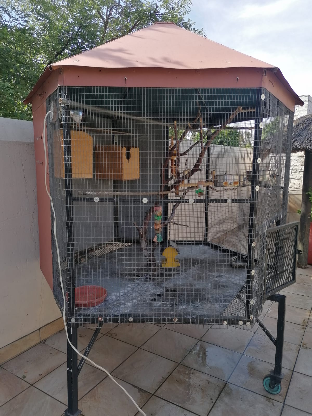 Big bird cage 