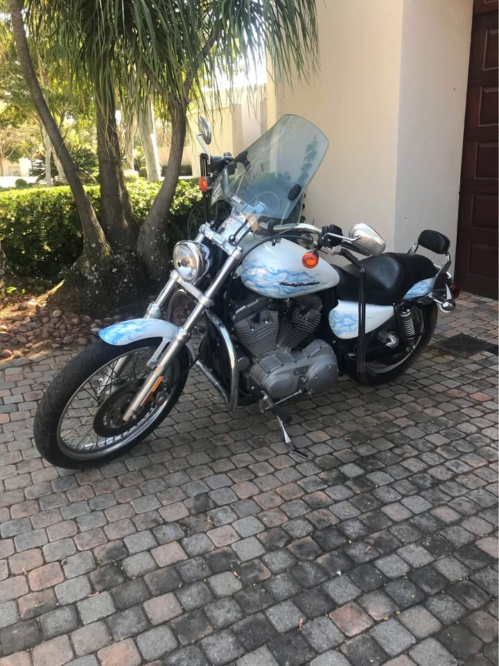 Custom Harley 883 - Private Seller Custom Harley 883 - Private Seller