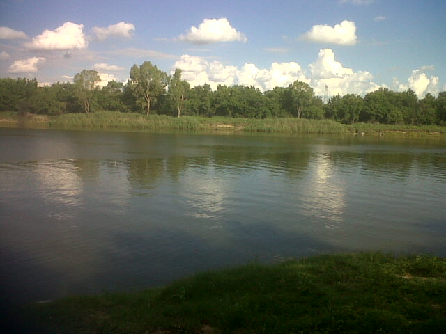 Land on Vaal river in North West between Leeudoringstad and Bothaville ...