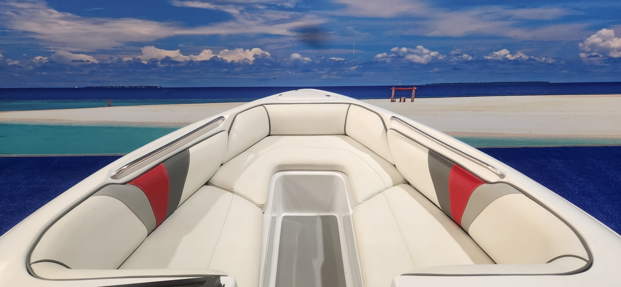CLASSIC 210 ON TRAILER 200 HP EVINRUDE ETEC