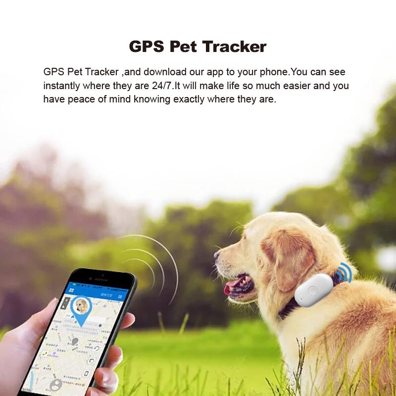 I'm selling the animal tracker for cow goat sheep | Junk Mail