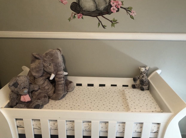 Baby cot and brand new bamboo mattress