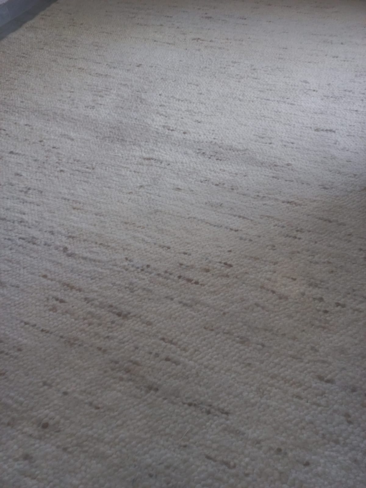 Ocean Hand Crafted Rug by Mafy (2.52m x 1.89m)