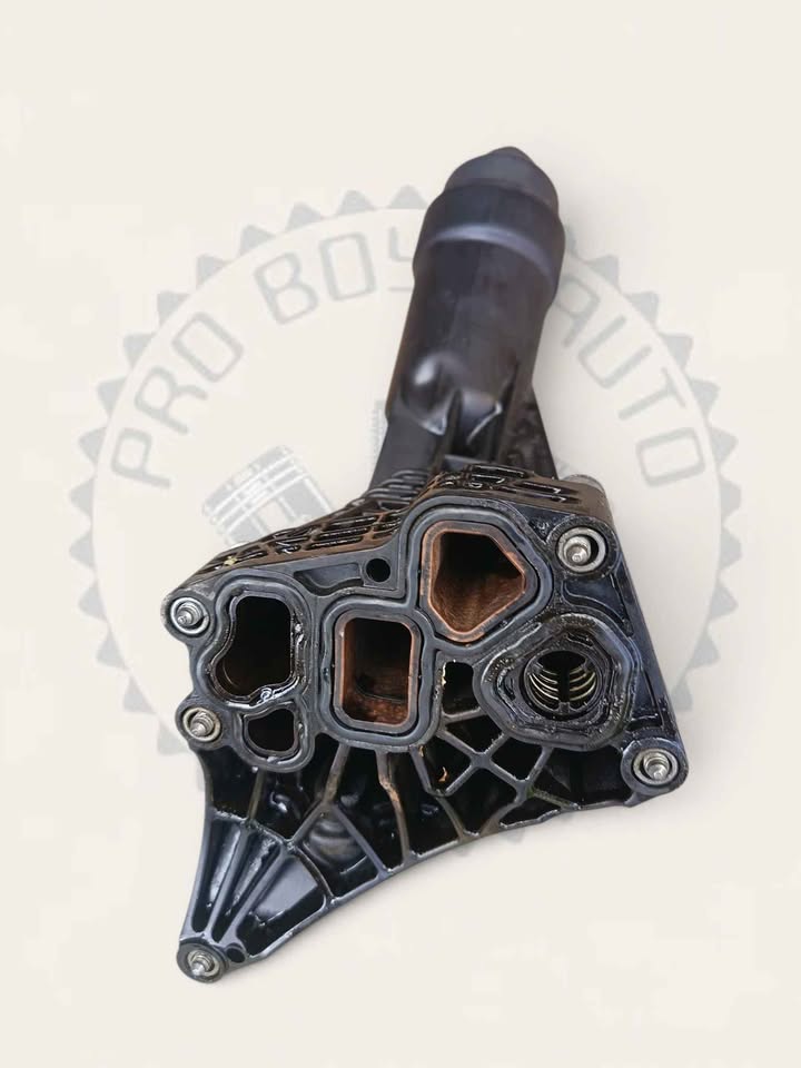 Preloaded Image 4