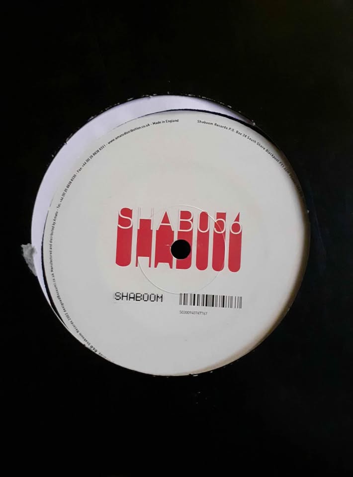 Onionz & Master D - It Won't Hurt You 12" Single Record