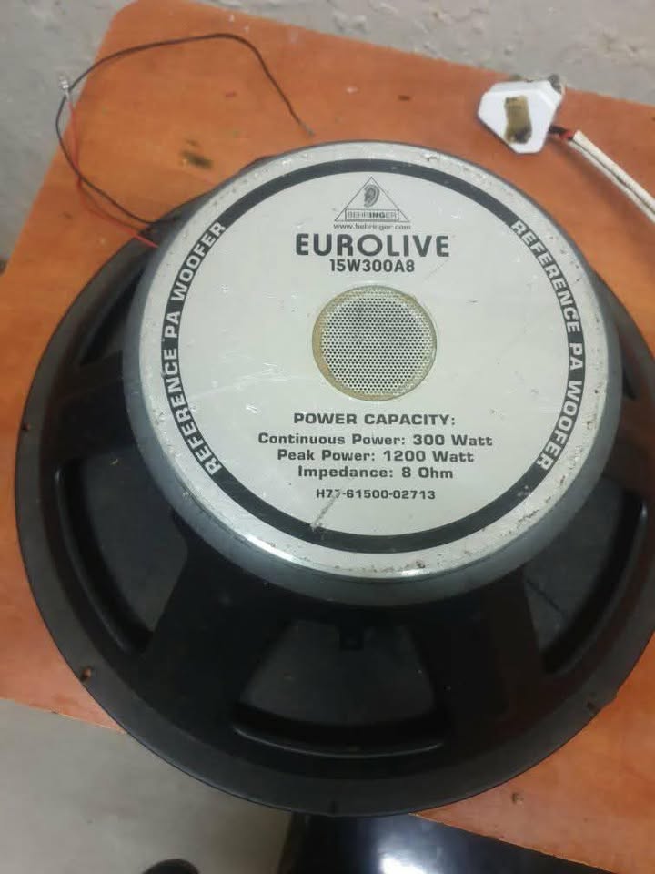 Mega Eurolive  Subwoofer Speaker .working perfectly