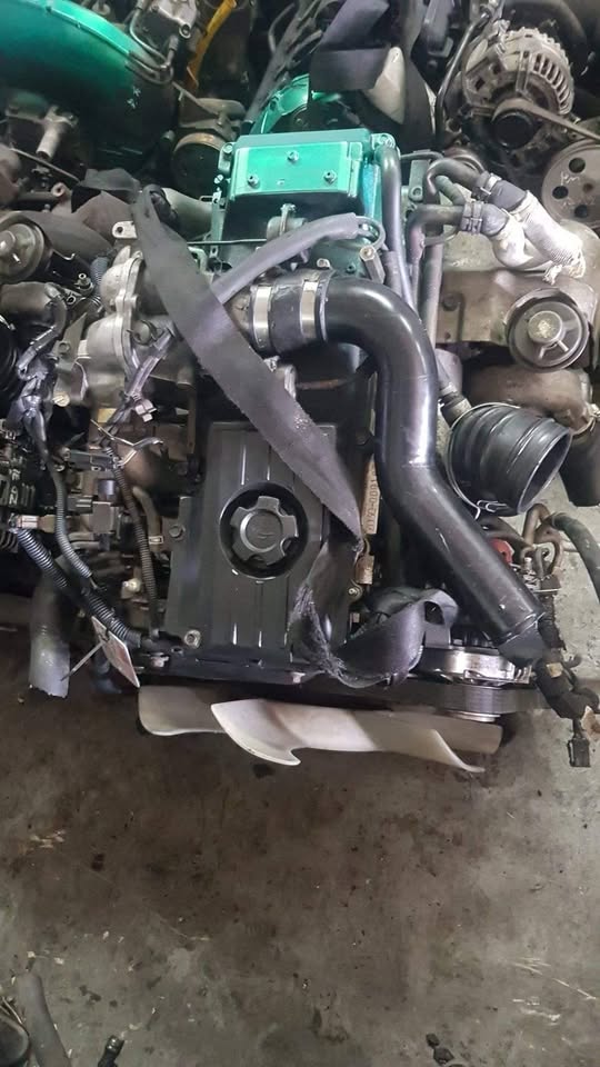 NISSAN HARDY BODY 3.0TDI ZD30 ENGINE FOR SALE - Private Seller NISSAN HARDY BODY 3.0TDI ZD30 ENGINE FOR SALE - Private Seller