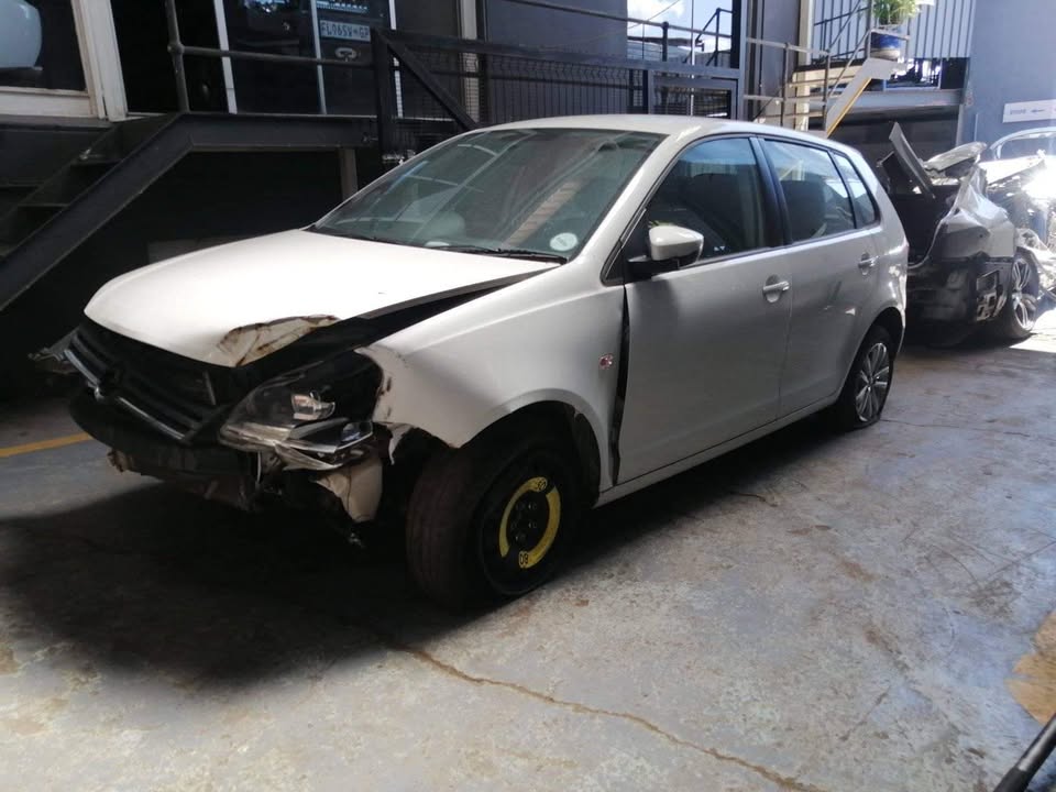 Polo vivo stripping