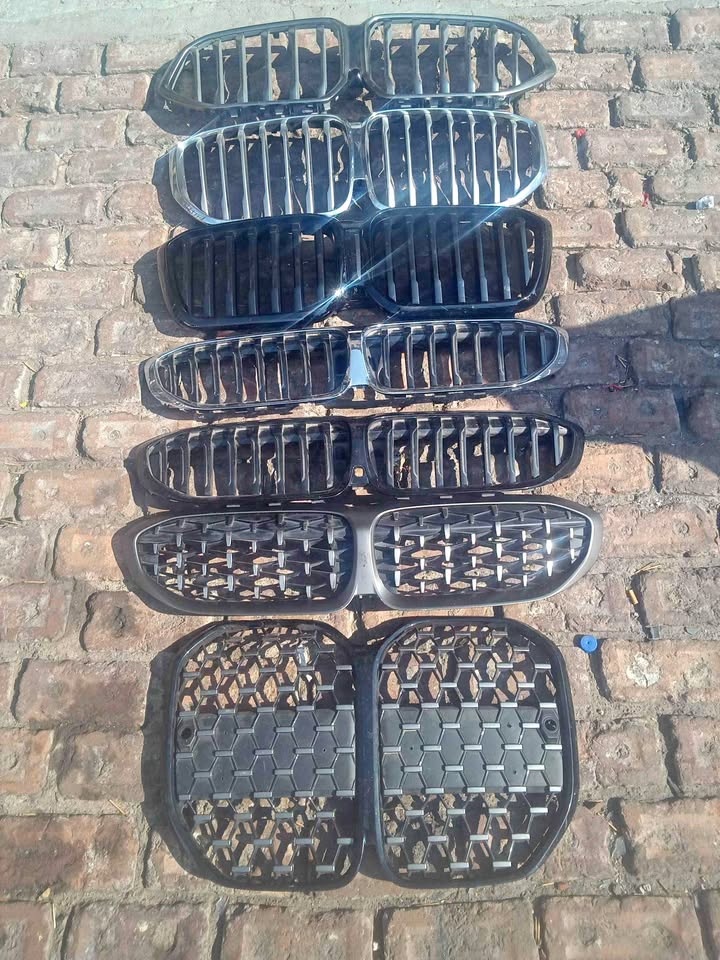 Bmw front grilles