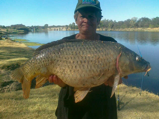 Land on Vaal river in North West between Leeudoringstad and Bothaville ...