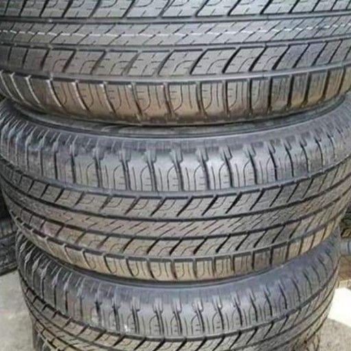 Goodyear wrangler