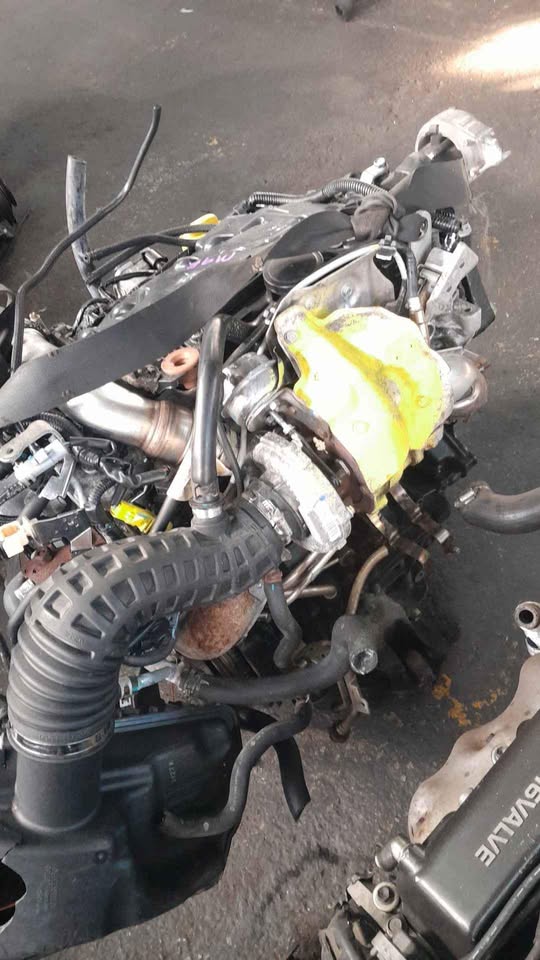 Nissan x trail ,Qashqai, megane 2.0tdi M9R engine for sale (zane azaad) - Private Seller