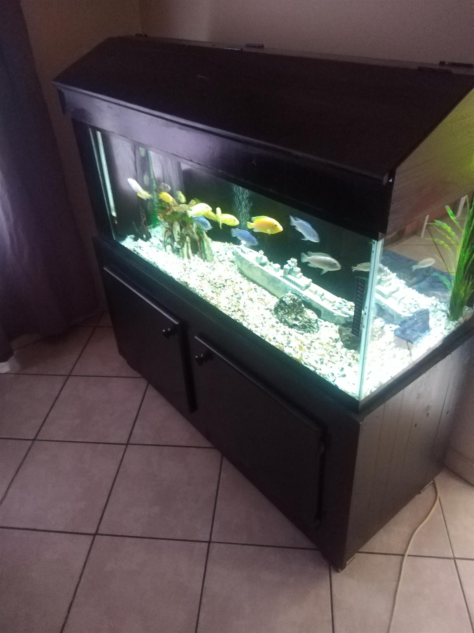 Fish tanks hotsell for sale junkmail