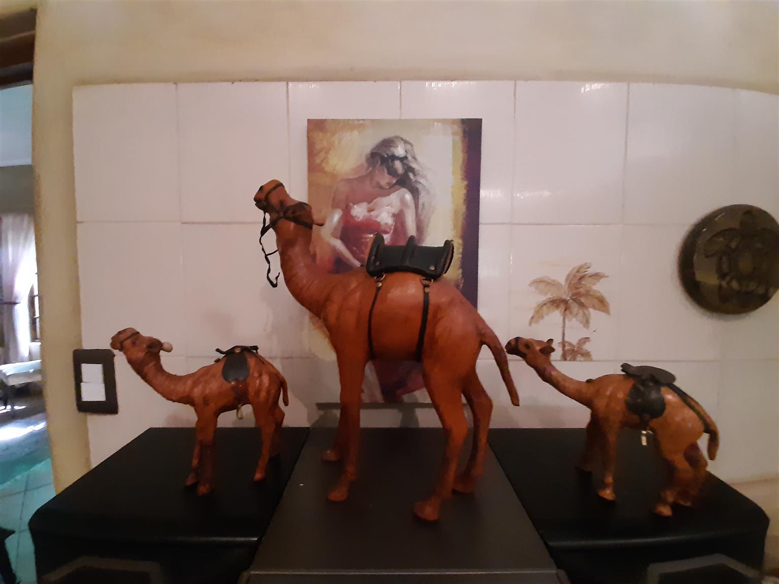 Camels - set of 3