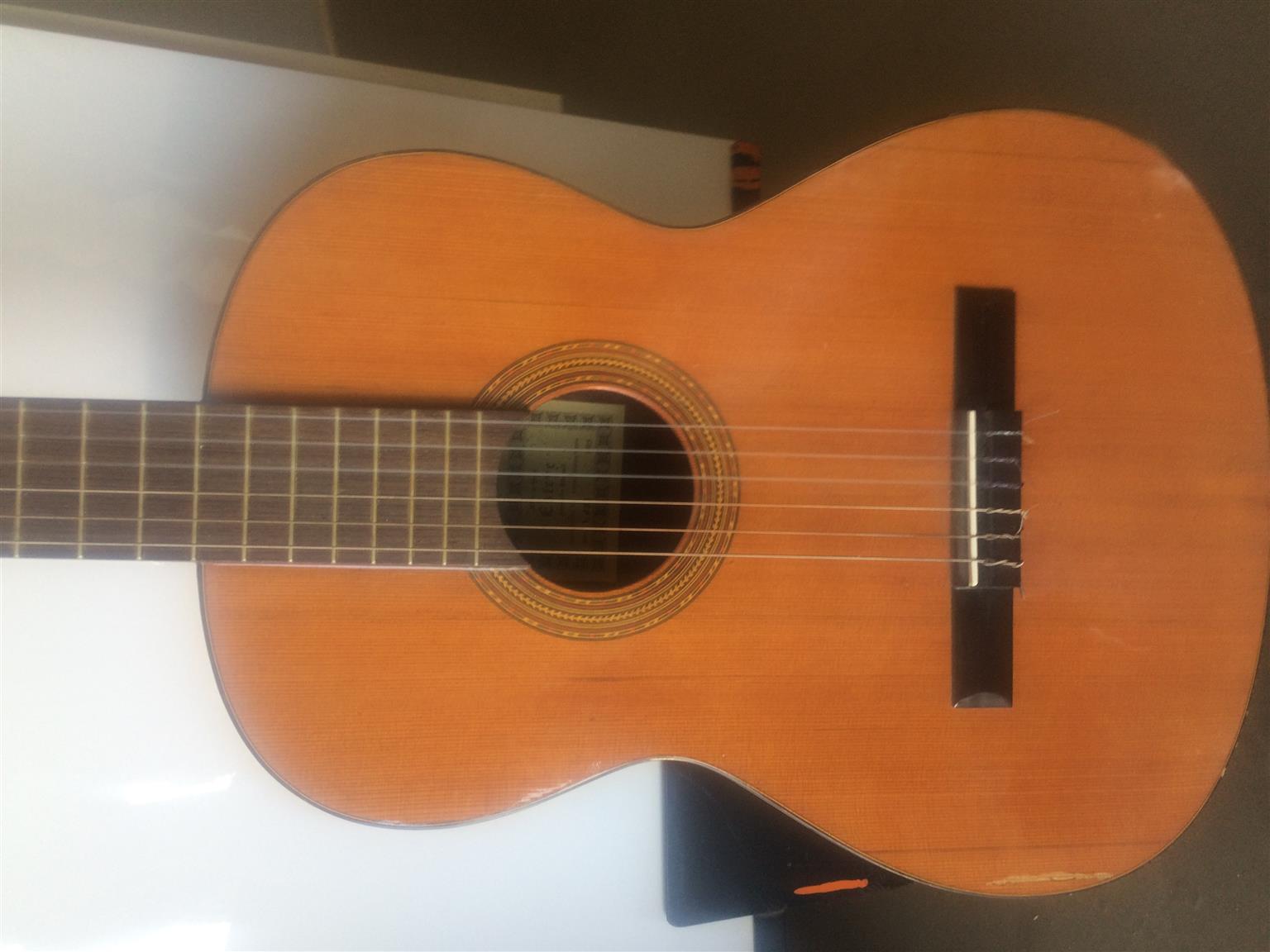 Spanish Classical Guitar Junk Mail