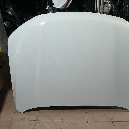 gwm p series bonnet