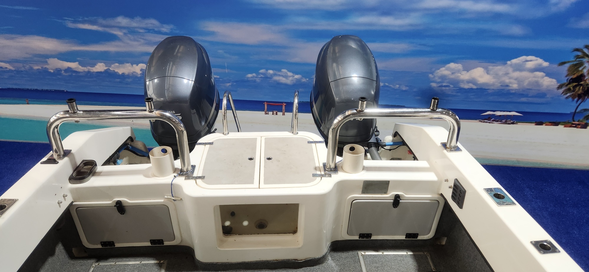 TOMCAT 19 FT CC 2008 MODEL ON TRAILER 2 115 HP YAMAHA 4 STROKES