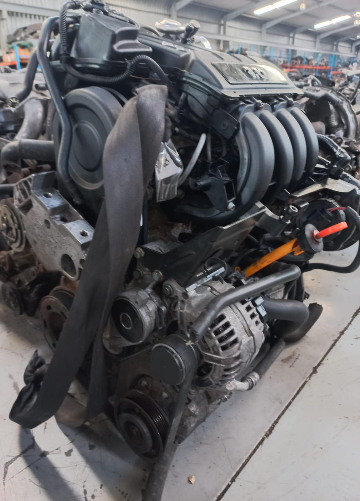 Volkswagen Golf 5 - 1.6 4 CYL Petrol Engine (BGU)
