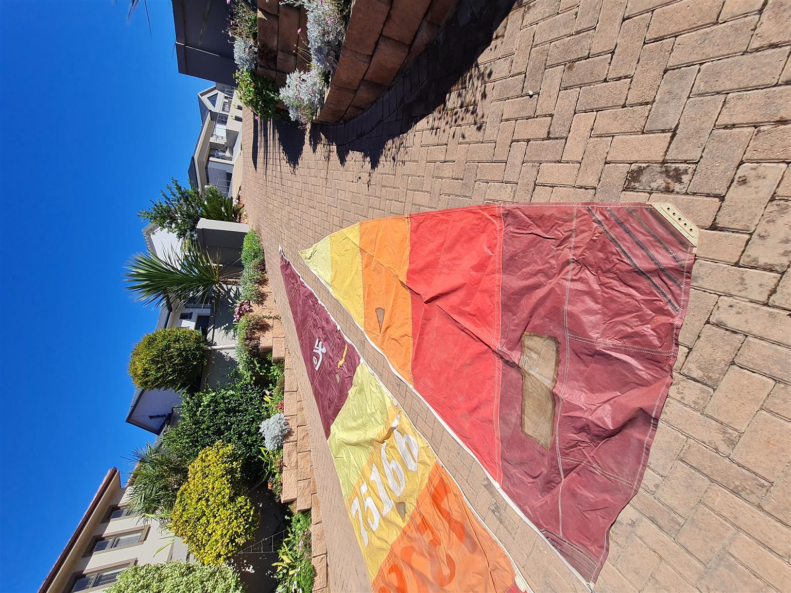 Hobie 16, Main and jib sail only