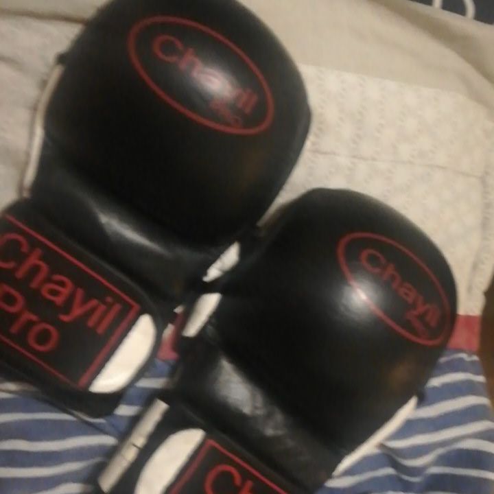 MMA Sparring Gloves Large 