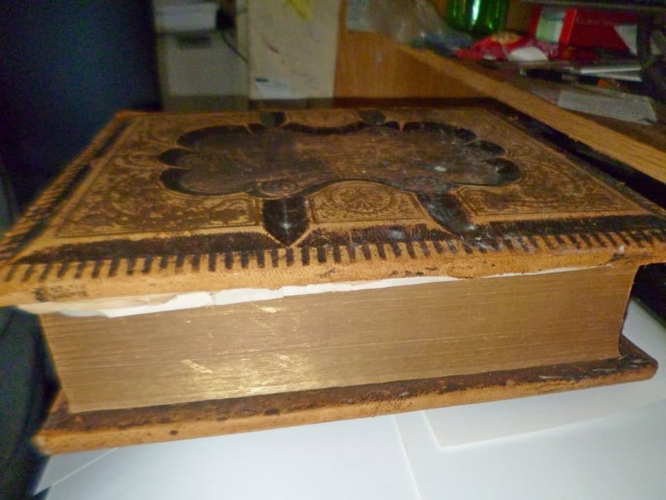 Antique Bible 1888