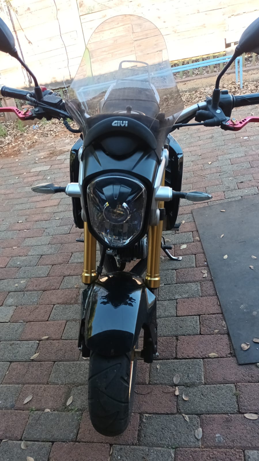125 cc Honda MSX Grom Bike