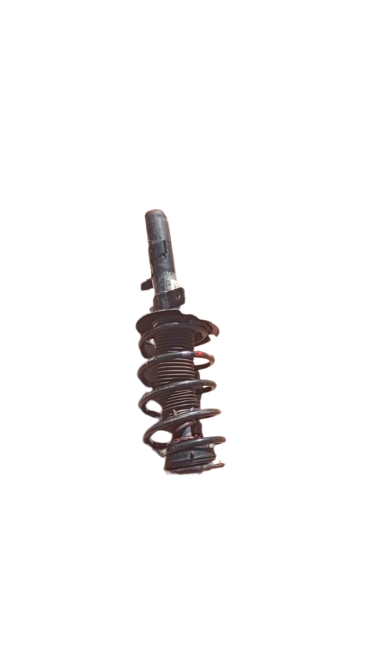 FORD ECOBOOST SUSPENSION STRUT (2015) - Private Seller FORD ECOBOOST SUSPENSION STRUT (2015) - Private Seller