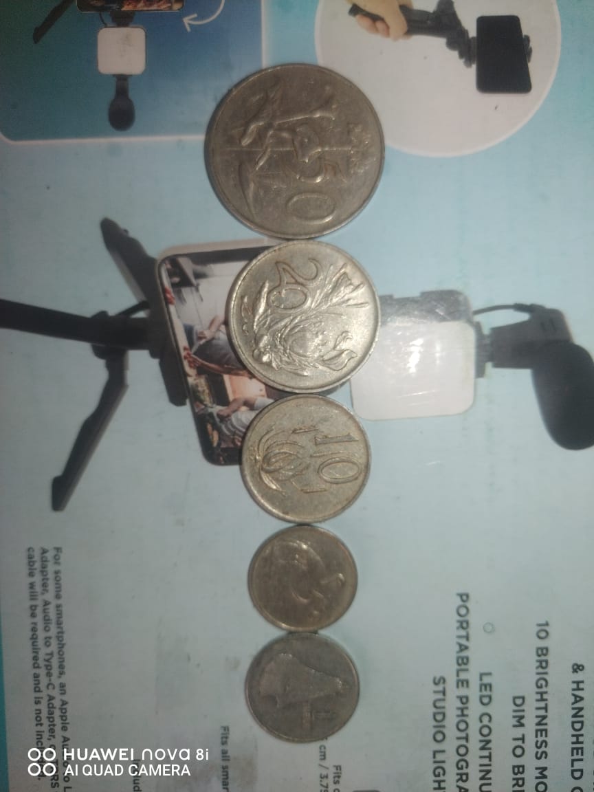 Old African coins