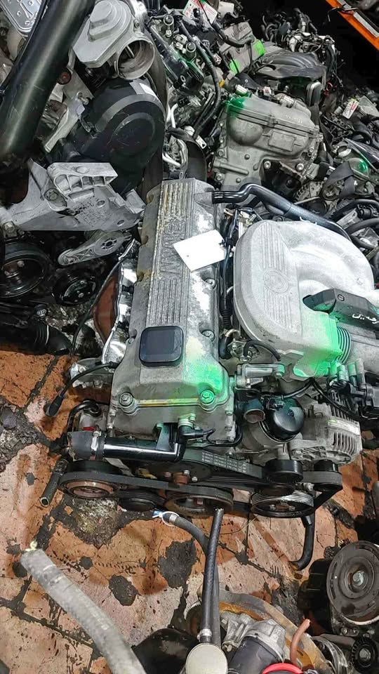BMW E36 318I 184E2 M43 8VALVE ENGINE FOR SALE - Private Seller BMW E36 318I 184E2 M43 8VALVE ENGINE FOR SALE - Private Seller