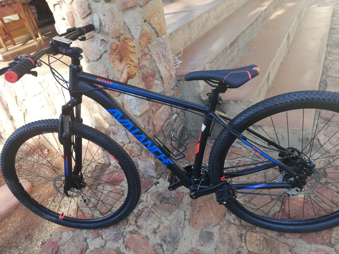 raleigh 29 reflex mountain bike