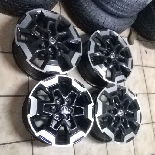 Navarra MAG RIMS