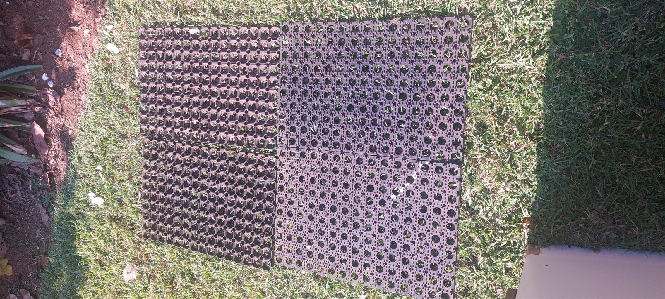 HUGE CAMPING EQUIPMENT SALE see list below Junk Mail