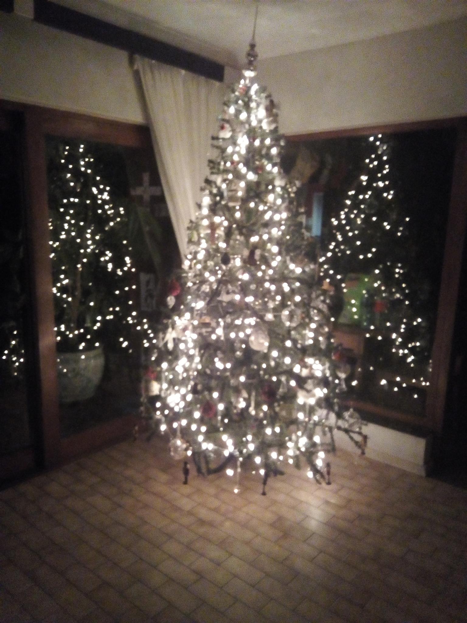 Six foot Christmas tree for sale
