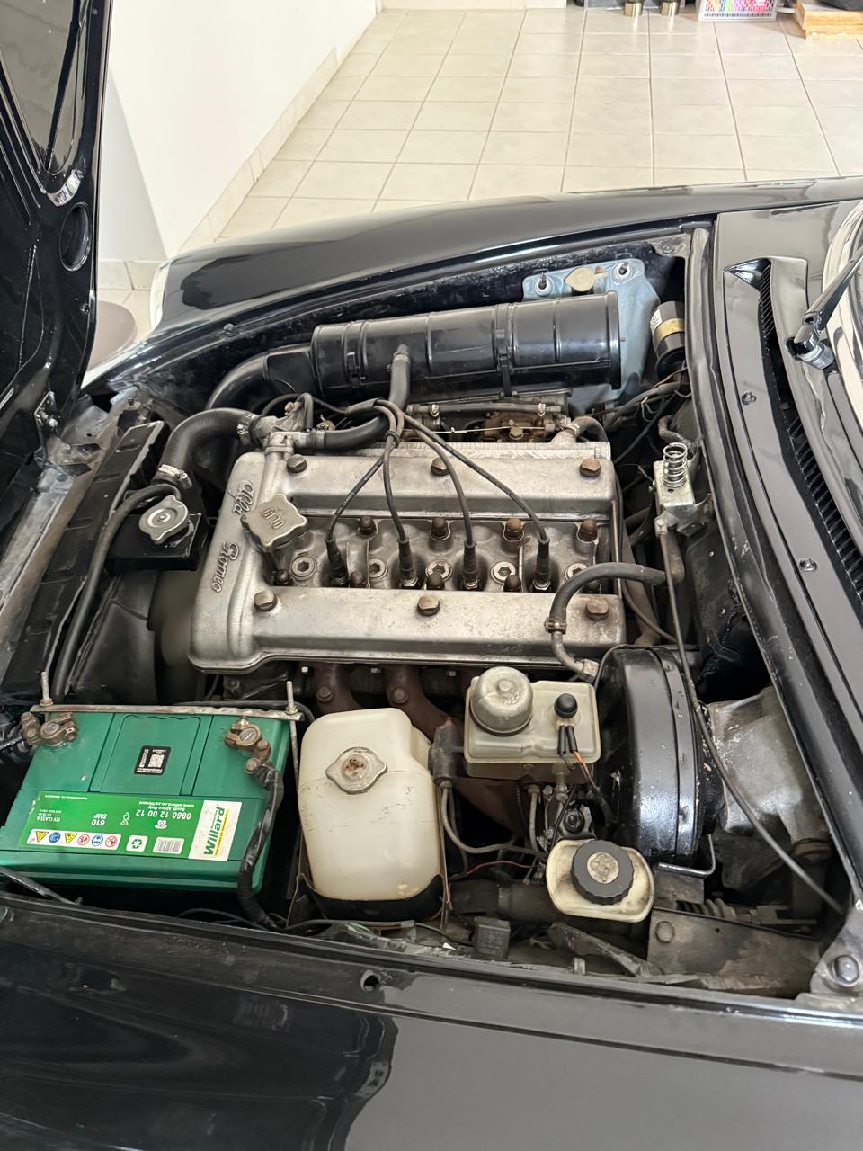 Alfa Romeo Spider LHD