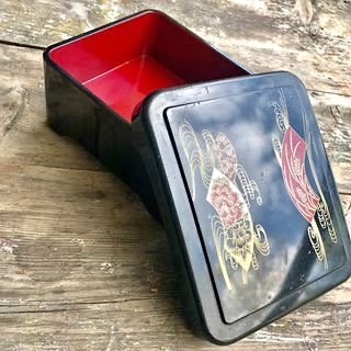Indulge in Tradition – Japanese Eel Sushi Lunch Box