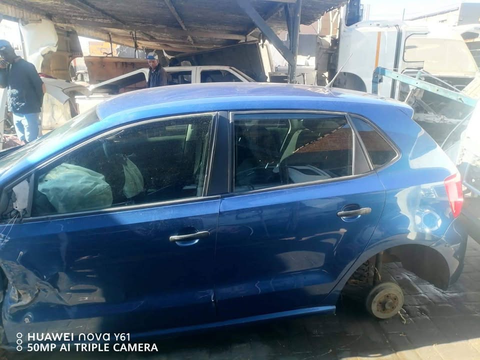 Polo 6 Vivo CLP stripping for spears - Private Seller