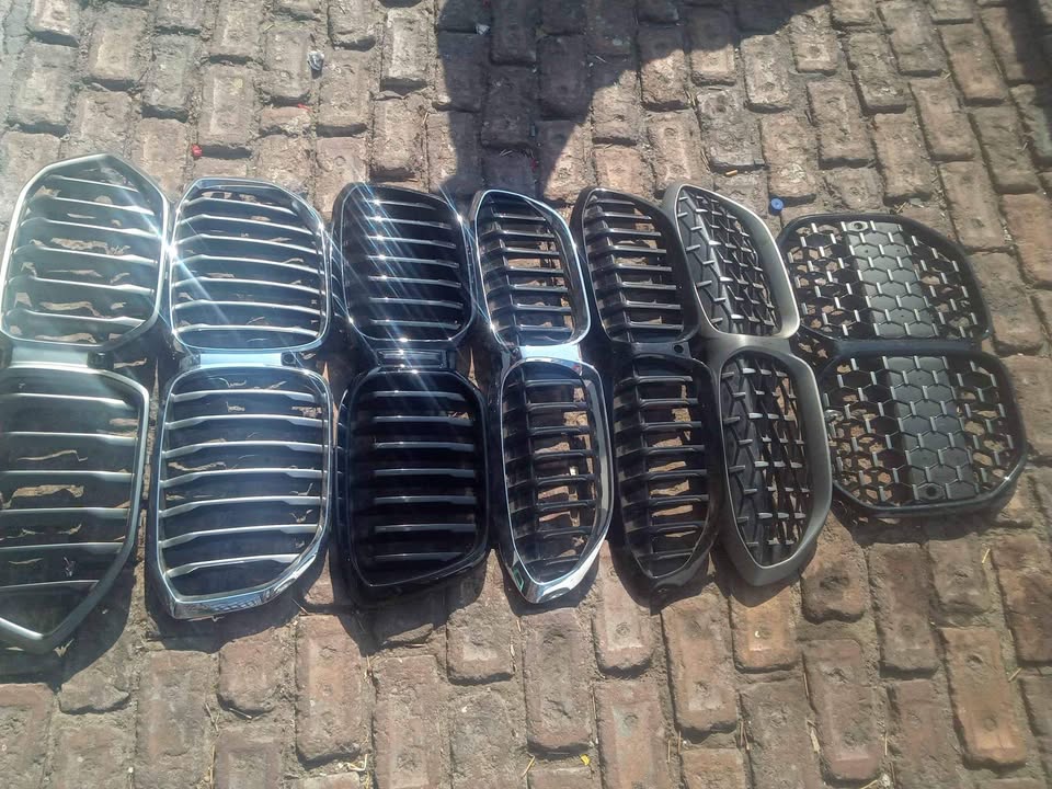 Bmw front grilles
