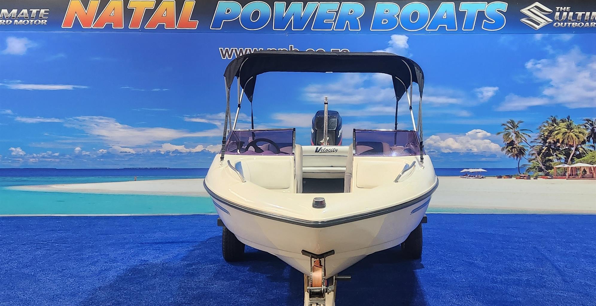 VIKING VELOCITY 18 FT ON TRAILER 200 HP MERCURY EFI