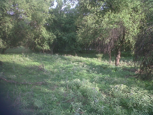 Land on Vaal river in North West between Leeudoringstad and Bothaville ...