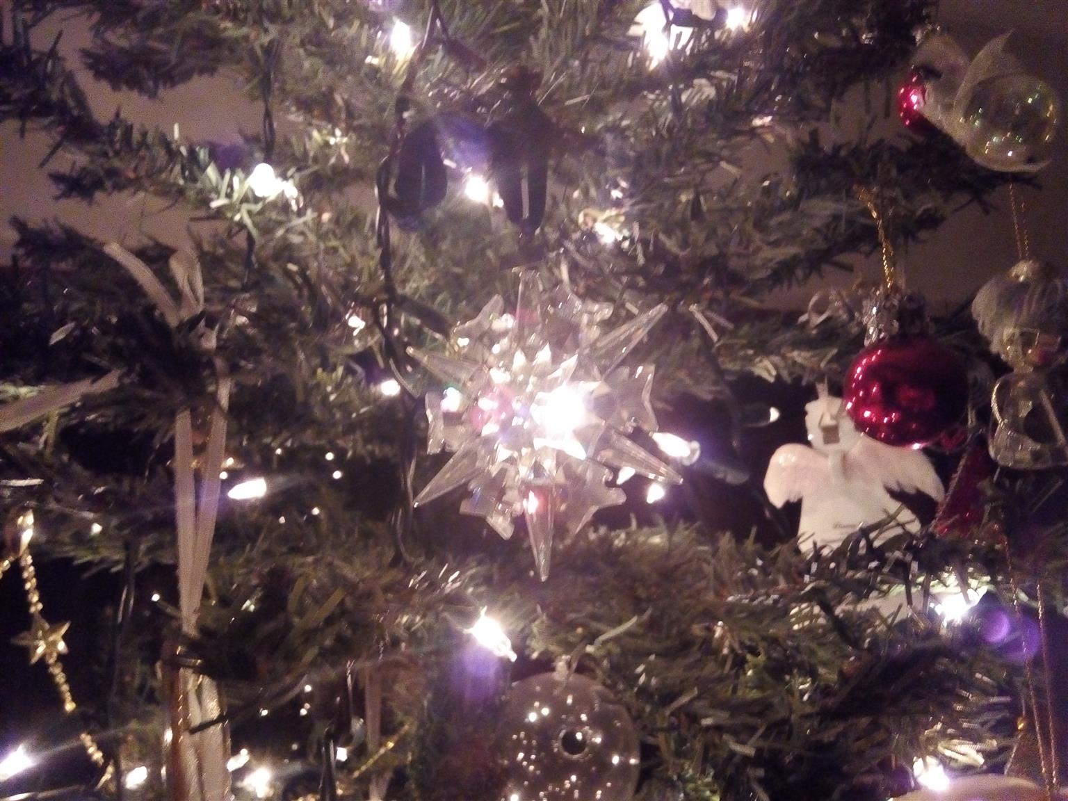 Six foot Christmas tree for sale