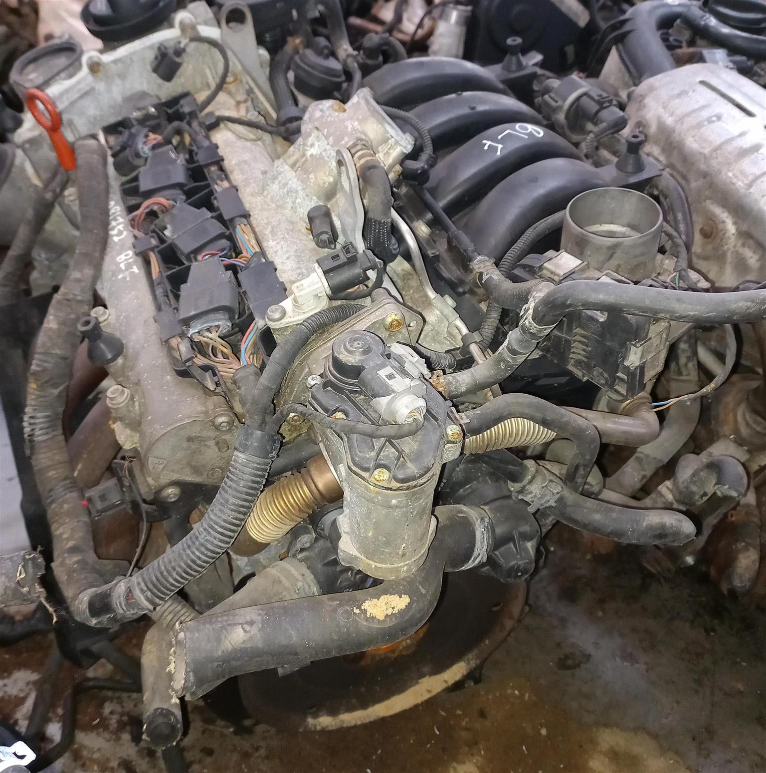 Volkswagen Golf 5, Beetle, Jetta, Passat 1.6 Petrol Engine (BLF)